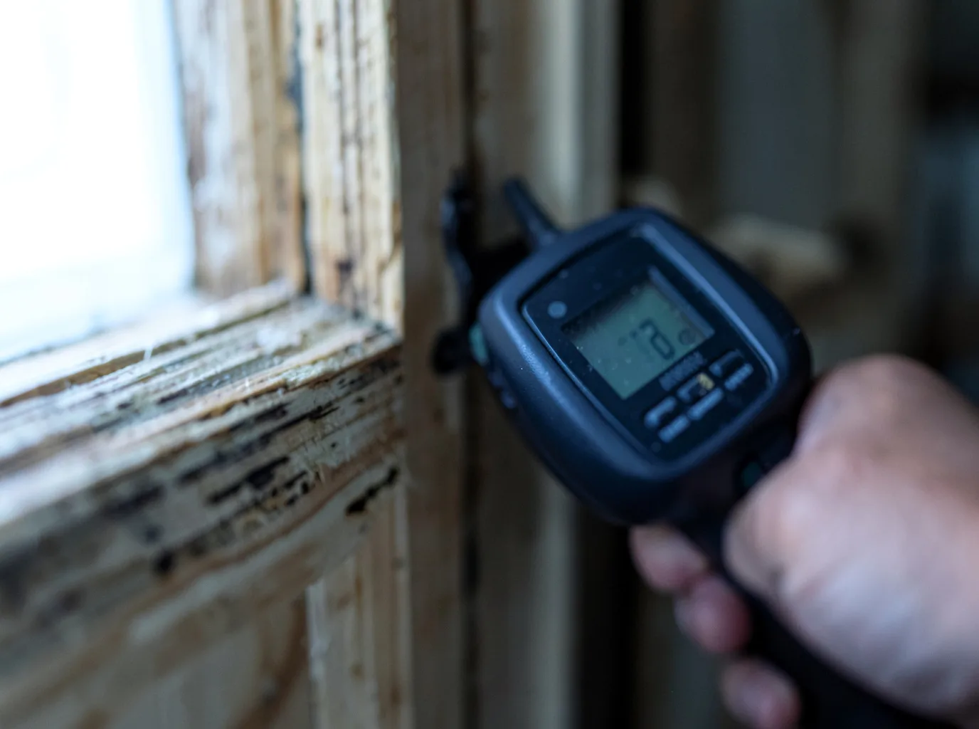 Moisture Inspection And Documentation in Milan, MN
